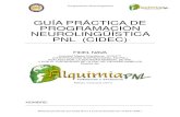 Guía práctica pnl cidec 732