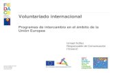 Voluntariado europeo