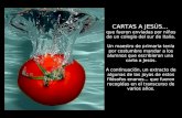 Cartas a jesus(_con_audio_de_forrest_gump)