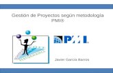 Gestión proyectos (PMBOK)