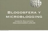 Blogs Micro