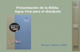 Biblia Agua Viva para el discípulo, Reina Valera 1960
