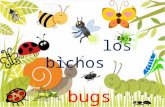 Los bichos   bugs