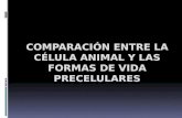 Celulas Animales