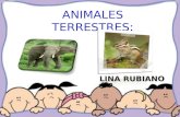 Webquest Animales Terrestres.