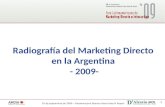 Estudo Mkt Directo 2009   D Alessio Irol