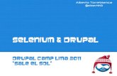 Selenium & Drupal