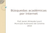 Búsquedas académicas por Internet