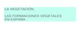 Paisajes vegetales de España. Nicanor Otín and friends