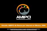 Estudio Amipci2008 Banca Por Internet