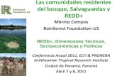 REDD Panama 2011 - Marina Campos / Comunidades del bosque, salvaguardas, REDD+