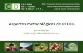 REDD Panama 2011 - Lucio Pedroni / Aspectos metodológicos REDD+