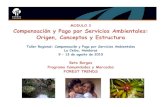 HONDURAS COURSE - Compensación y Pagos por Servicios Ambientales / Beto Borges