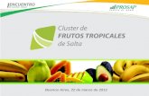 Cluster de Frutos Tropicales