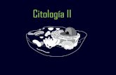 Citologia II