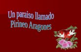 El Pirineo Aragones Y Sus Casas