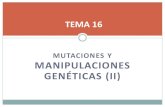 Tema 16. Manipulaciones Genéticas (II)