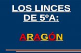 Los Linces - Aragón