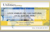 USOS VIABLES DEL GAS NATURAL EN EL SUR DEL PERU