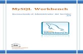 Reconociendo el  administrador  del  servidor MySQL Workbench