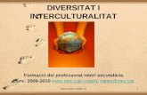 Diversitat Interculturalitat