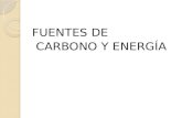 Fuentes de carbono y de energía