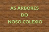 AS ÁRBORES DO NOSO COLE