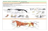 Guía animais (mamíferos)