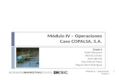 Operaciones  grupo v - caso copalsa dic2011