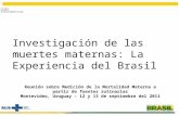 Brasil investigacion de las muertes maternas