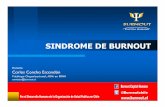 Sindrome de Burnout - Manual Basico