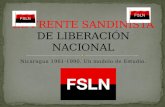El frente sandinista de liberación nacional