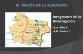 Ix  Región De La Araucanía