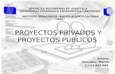 Proyectos privados y proyectos públicos