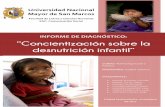 Informe de Diagnóstico: La Desnutrición Infantil en el AA.HH. Héroes de Cenepa - Ventanilla