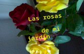 Las Rosas De Mí JardíN