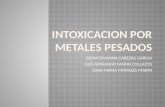 Intoxicación por metales pesados