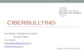 Ciberbullying amm dbg v5