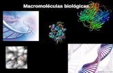 Macro Molecula Biologica