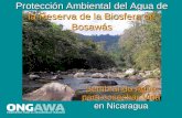 Proyecto de Protección Ambiental de Bosawas, NIcaragua