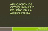 Aplicación de citoquininas y etileno en la agricultura