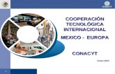 Cooperación Tecnologica Internacional
