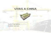 Exportacion chile a china
