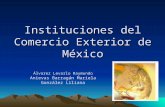 Instituciones De Com Ext Mex  Equipo10 Tema3