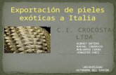 C.i. crocosta ltda audrey botero