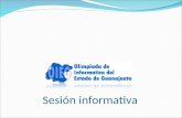 Olimpiada de Informatica del Estado de Guanajuato - Sesion Informativa (Beta 2)