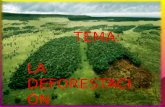 Deforestacion fn