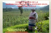 Conservación de la agrobiodiversidad en andenes en el Valle del Colca