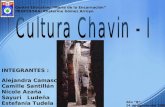 Cultura Chavin -I