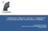 RODIN, Repositorio de Objetos de Docencia e Investigación de la UCA: acceso abierto y visibilidad